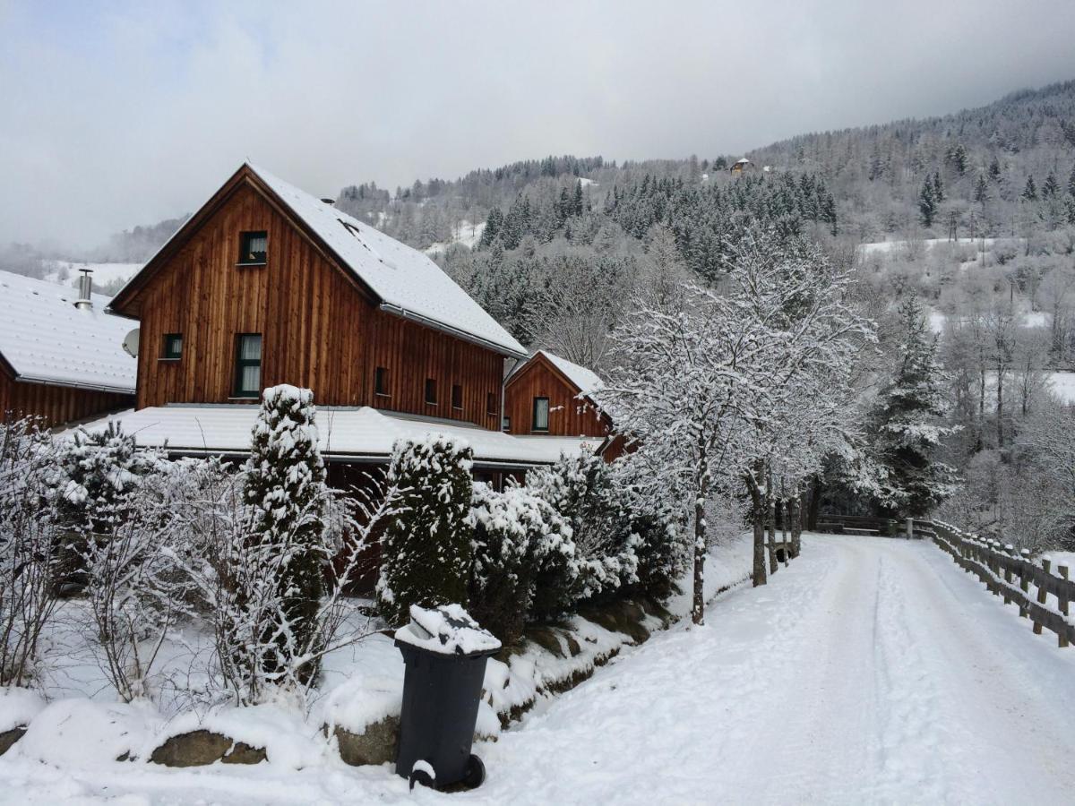 Alpenferienhaus Kreischberg Sankt Lorenzen ob Murau Exterior foto